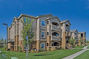 Professionally landscaped grounds